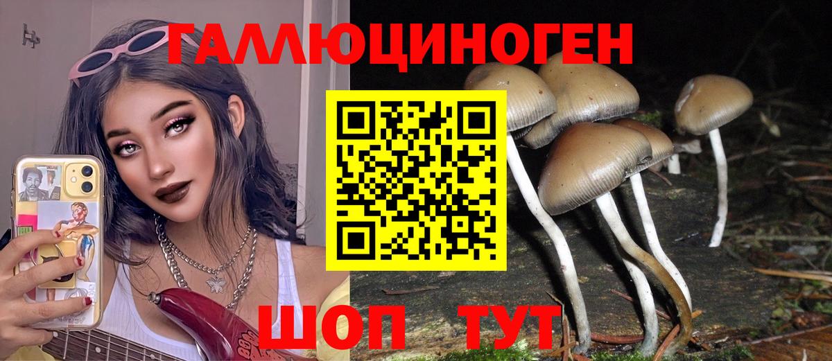 Азов  Псилоцибиновые грибы Psilocybe  Вход с VPN 